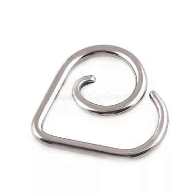 $4.99 • Buy 2pc TITANIUM 16G Heart Seamless Ring Cartilage Daith Tragus Piercing Jewelry