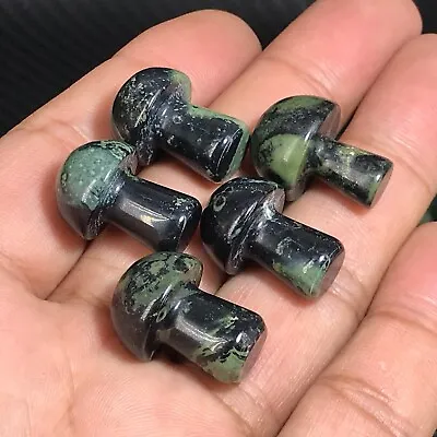 10pc Natural Kambaba Jasper Mushroom Quartz Crystal Reiki Healing Gem Random • $5