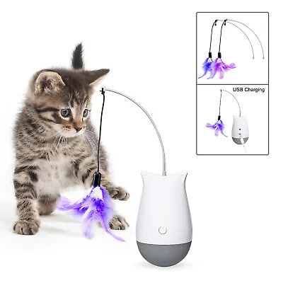 Cat Feather Toy Cat Funny Teaser Kitten Toy USB Interactive Play Pet Gift Toys • $32.99