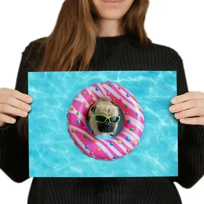 £4.99 • Buy A4 - Pool Party Pug Puppy Donuts Poster 29.7X21cm280gsm #16011
