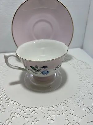 Vintage Regency English Bone China Tea Cup & Saucer Beautiful Pink & Blue W/gold • $8.99