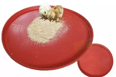 Chicken Chick Duck Or Quail  Small Bird Feeder Or Water  Tray/dish • $9.99