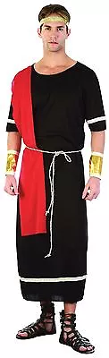 Adult Men's Roman Caesar Toga Fancy Dress Costume - One Size  • £17.49