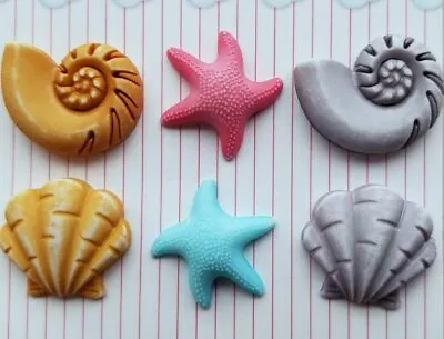 BEACHCOMBER Craft Buttons Galore Sea Shell Seashell Nautilus Scallop Starfish • £3.50