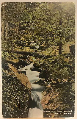 Vintage Postcard- Source Of The Swiftwater Mt. Pocono Pa • $5