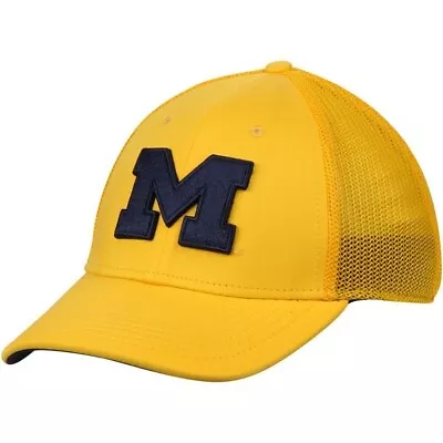 University Of Michigan Wolverines Nike Dri Fit Hat Legacy 91 • $9.99