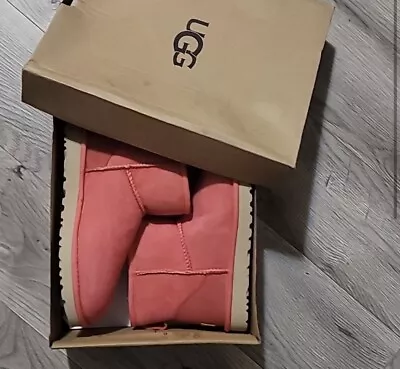 UGG Mini Boots NEW!  Women's 8 Authentic Quality Classic Ugg Mini Boots! • $79