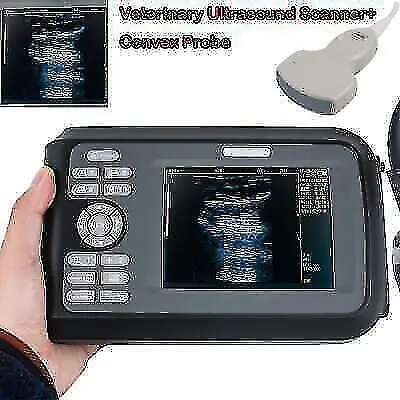 Portable Vet Ultrasound Scanner Convex Probe USB Rechargeable LCD Display • $920