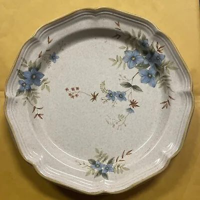 Mikasa Garden Club DAY DREAMS EC461 Dinner Plate 10 5/8  • $10