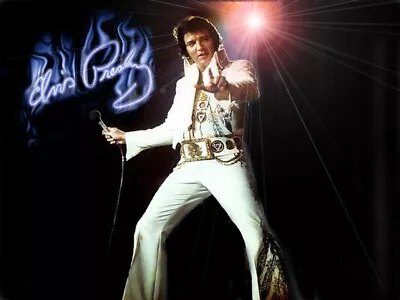 Elvis Presley  Poster 24x36  Inch Rolled Poster • $15