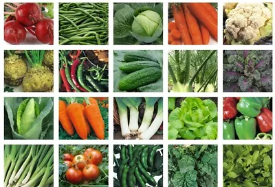 £1.95 • Buy Vegetable And Herb Seeds Collection 100+ Varieties Salad Heritage Heirloom