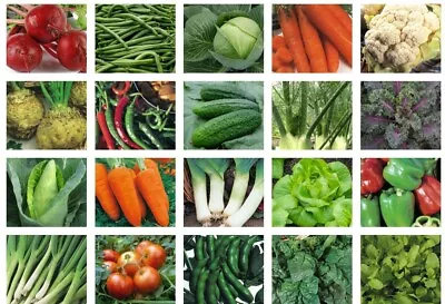 Vegetable Seeds For Planting UK Lettuce Cabbage Carrot Pea Tomato 100+ Options • £2.33