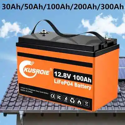 12V 30Ah 20Ah 50Ah Deep Cycle Lithium LiFePO4 Battery For RV Boat Solar Home LOT • $22.98