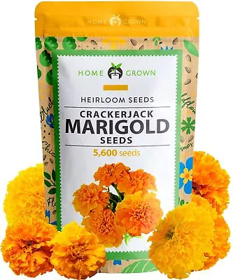 Marigold Seeds Bulk Mix 5600+Crackerjack Marigold Flower Seeds For Planting Outd • $14.78