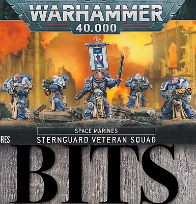 Warhammer 40K Kill Team Leviathan Primaris Space Marine STERNGUARD VETERAN Bits • $4.75