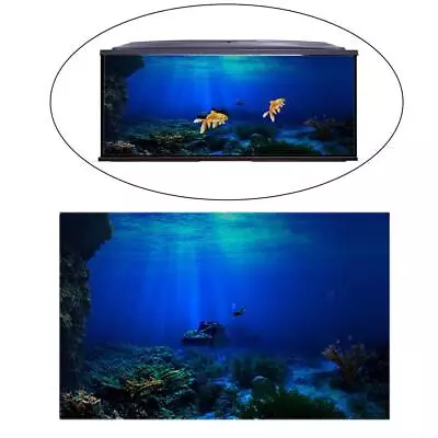 Aquarium Background Poster Fish Tank 3D Effect Reptile Box Underwater World • $35.41