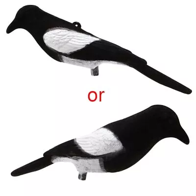 Magpie Bird Painted Decoy For  Outdoors Shot Hunting Shooting Lures  To • £8.54