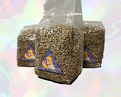 Grain Spawn Bag - 750g Sterilized Organic Rye - Grow Mushroom Kit - 100% Success • £9.50