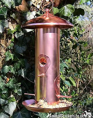 £24.95 • Buy Large Squirrel Proof Metal Copper Finish Bird SEED Feeder Garden Bird Lover Gift