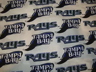 Tampa Bay Devil Rays Retired MLB Baseball Cotton Fabric Piece 14  X 16  • $3.99