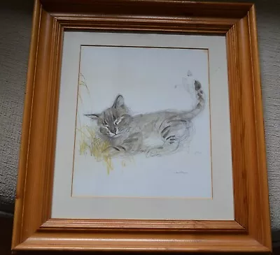 Framed Print Of A Cat Kitten By Danish Artist Mads Stage • $24.87