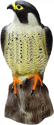 STV942 Falcon  Decoy Bird Scarer  Life - Like Colouring  Beige  One • £13.82