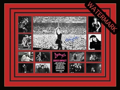 $108.99 • Buy Chrissy Amphlett Limited Edition Signed & Framed Memorabilia - Divinyls 