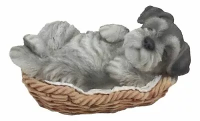 Mini Schnauzer Puppy In Wicker Basket Pet Pals Collectible Dog Figurine • $26.99