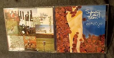 Suffocating The Bloom - Echolyn  - 1992 CD - 21 Tracks - Very Good • $24.77