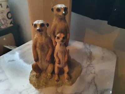 £20 • Buy Trio Family Of Meerkats Ornamental Figurine