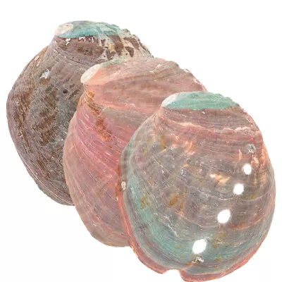  3 Pcs Natural Shell Abalone Decorative Ornaments Smudge Bowl For Smudging Tray • £6.69