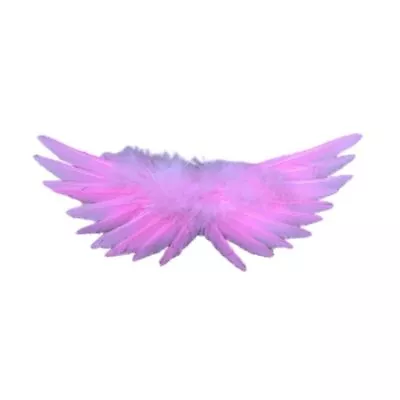 Dressing Up Angel Feather Wings Festival Feather Wing  Doll • $9.08