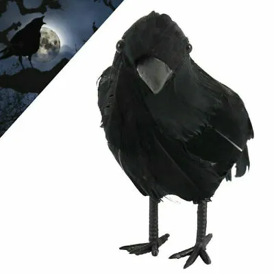 Halloween Stuffed Feather Crow Bird Black Ravens Fancy Prop Dress Home Decor • £4.07