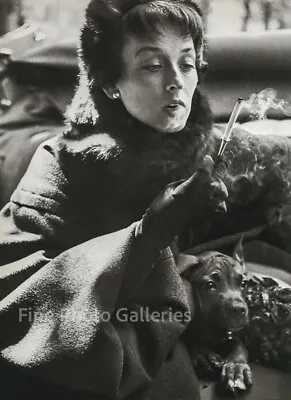 $188.14 • Buy 1949 Vintage RICHARD AVEDON Female Fashion DORIAN LEIGH Puppy Duotone Photo Art