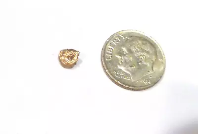 Natural Placer Gold Nugget .35 Grams Alaska Gold Low Starting Bid • $22.05