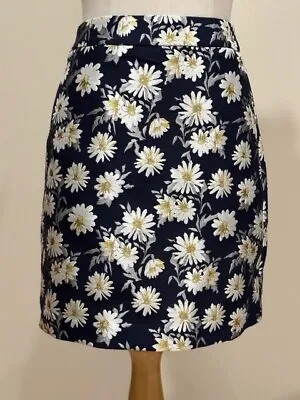 Review Size 6 Skirt Fully Lined • $35