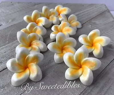 Gum Paste Plumerias Edible Sugar Flowers Cake And Cupcakes Decorations Fondant • $21