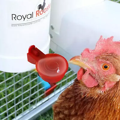 5PCS Poultry Water Drinking Cups Chicken Hen Quail Plastic Automatic Drinker • $9.71