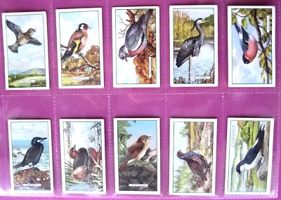 Gallaher Ltd - British Birds -1937 - Full Set (48) - Vg • £4.55