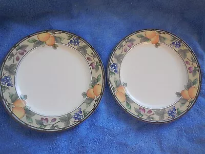 Set Of 2 Mikasa Garden Harvest Dinner Plates~1 Is New ~1 Is Excellent • $19.99