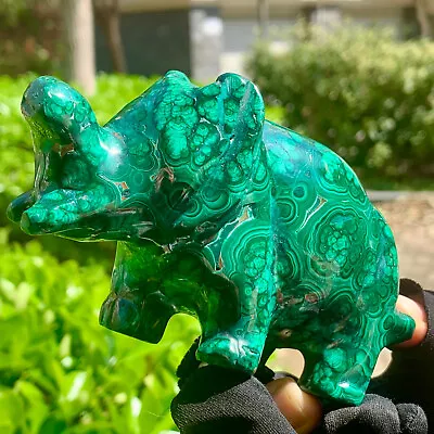 1.16LB  Rare Natural Malachite Quartz Hand Carved Elephant Crystal Healing • $11.06