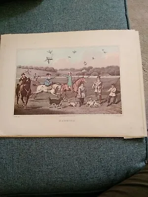 Hawking H Alken Print Plus Commentary No Date Reproduction  • £5