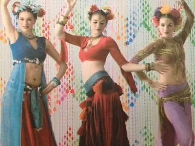 Simplicity Sewing Pattern 3832 Misses Belly Dancing Costume Size 6-12 Uncut • £9.64