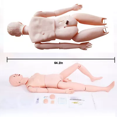 Teach Model Study Training Patient Care Human Woman Medical Manikin School Lab • $264.60