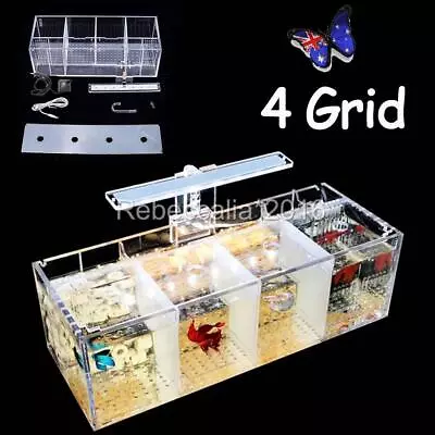$66.98 • Buy 4Grid Acrylic Betta Fish Tank LED Light Mini Desktop Aquarium Water Pump NEW AU