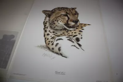 Vintage 1970s Regency House Guy Coheleach Signed Print Cheetah Head             • $125