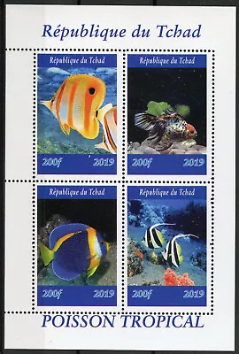 Chad 2019 MNH Tropical Fish Tang 4v M/S II Poisson Fishes Marine Stamps • £8.50