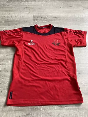 Mens Lancashire County Cricket Shirt. Size M  • £9.99