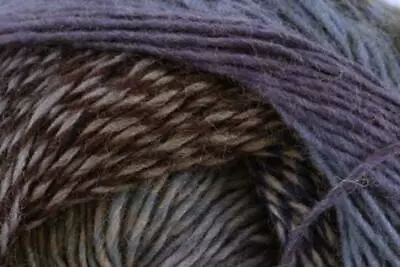 Debbie Bliss RIALTO Luxury Sock Wool/Yarn 100g - 06 WILDERNESS • $37