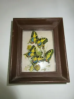 Framed Butterfly Flower Vintage Collectible Shadowbox Frame  • $1.75